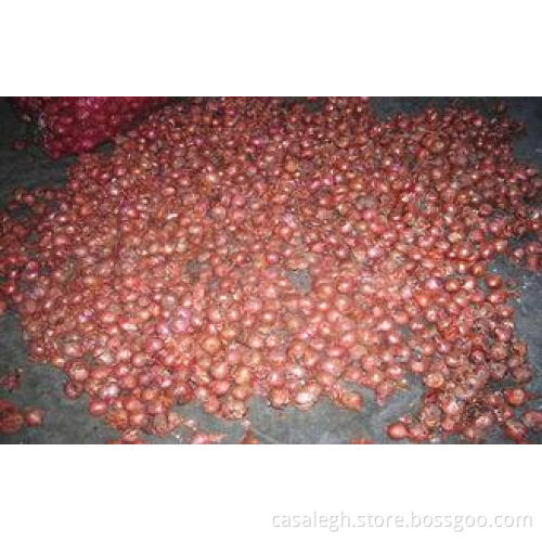 Pure Natural Red / Yellow Onion Shallot Contains Iron Magne